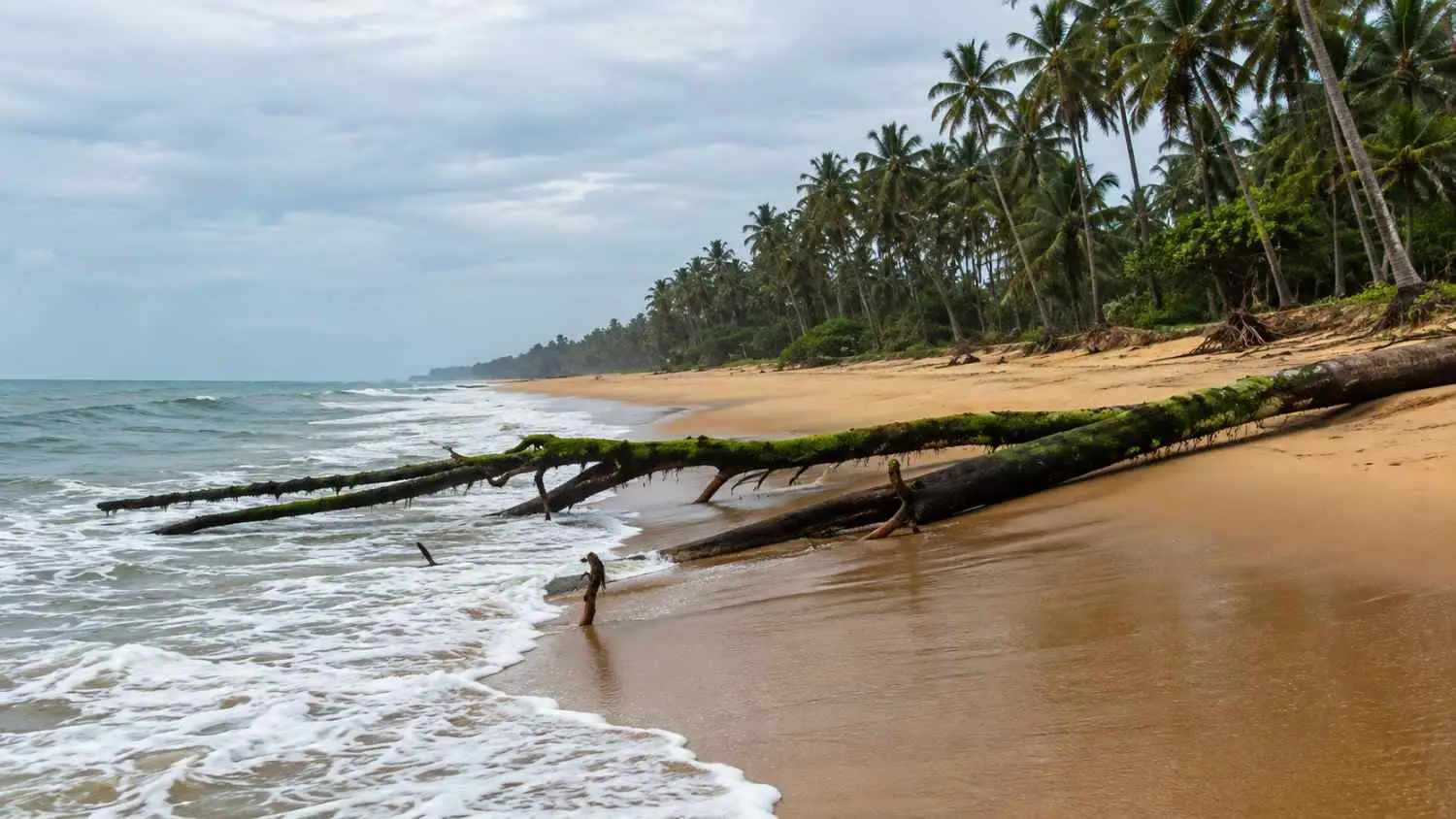 Kappil Beach